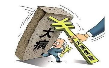 申请办大病救助申请书优质8篇