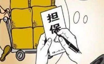 担保公司的工作总结模板5篇