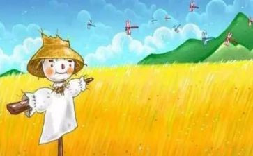 我是稻草人作文推荐7篇
