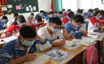 全员导师工作总结6篇
