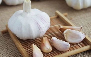 种大蒜作文500字7篇