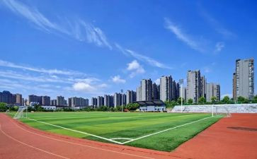 自我鉴定大学300字参考8篇