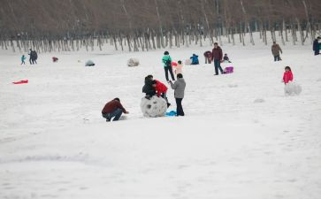 写打雪仗作文8篇