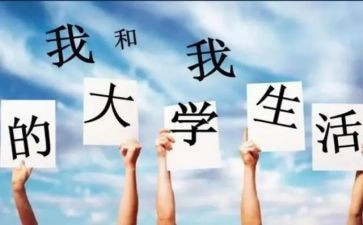 大一的心得体会最新5篇
