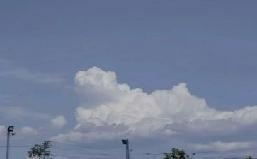等候作文8篇