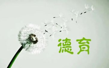 2023德育培训心得体会优质5篇