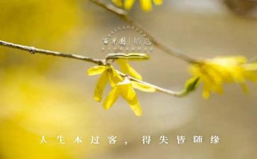得与失-高中作文优秀8篇