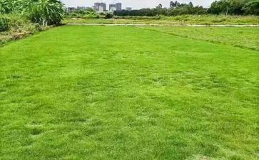 房地产工作总结报告5篇