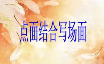 点面结合的小作文优秀5篇