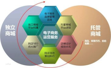 电商公司的工作总结7篇