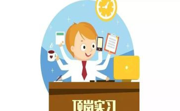 顶岗个人总结优质8篇