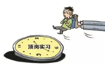 学生顶岗个人总结精选7篇