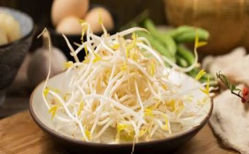 豆芽生长记作文8篇