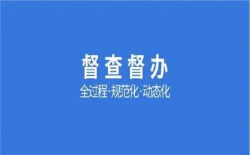 2024年督查工作总结6篇