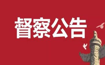 督查工作总结6篇