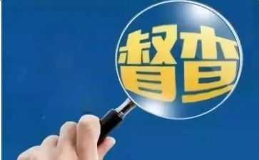 2024年督查工作总结推荐6篇