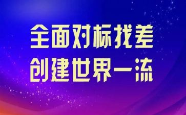 企业对标管理工作总结范文8篇