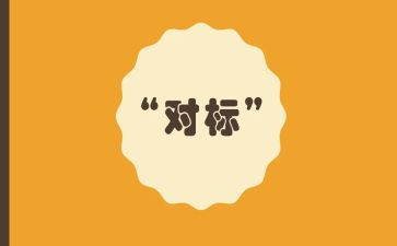 工程对标总结报告通用6篇