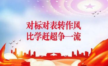 建设项目对标工作总结5篇