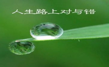 对与错中班社会教案6篇