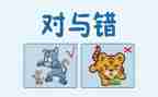 对与错中班社会教案精选8篇