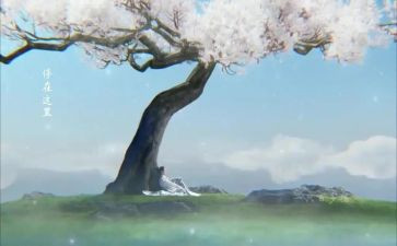 独自在家安全教案6篇