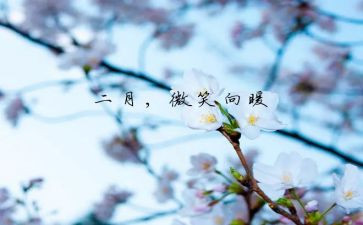 二月份保育工作总结7篇