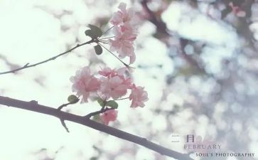 二月份安全工作总结5篇