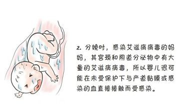 2024预防艾滋病心得体会8篇