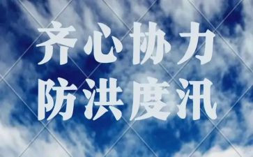 防洪工作总结报告6篇