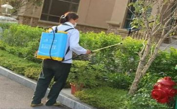 乡大气污染防治工作总结5篇