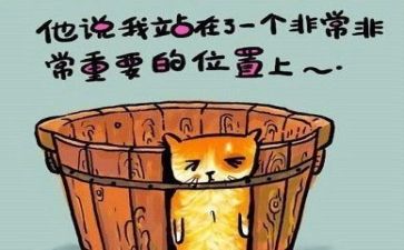 工作总结工作反思模板8篇