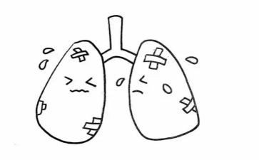 地球的肺演讲稿8篇