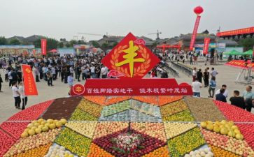 河洛丰收节活动总结7篇
