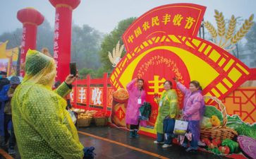 丰收节主题活动总结7篇