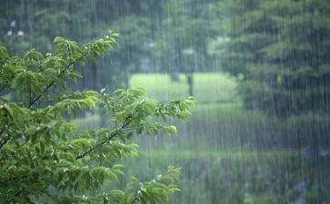 以学为舟风雨兼程演讲稿8篇