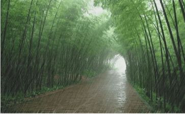 一路风雨一路歌作文6篇