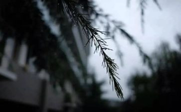 风雨人生作文20230字7篇