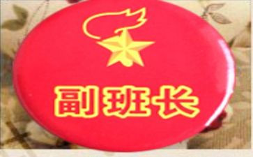 副班长就职演讲稿7篇