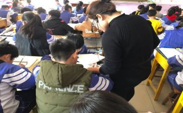 辅差培优的工作计划精选5篇
