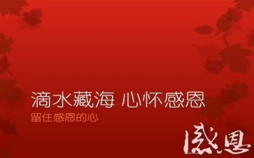 感恩作文关于演讲稿5篇