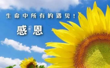 感谢我的作文7篇