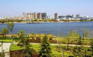 赣榆环境调查报告优秀6篇