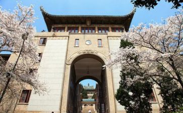 高校新进教师工作总结8篇