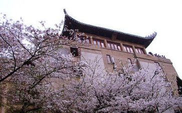 高校2024年度工作总结8篇