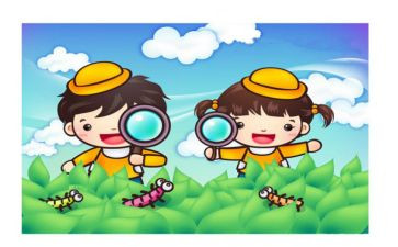 关于观察植物的作文300字6篇