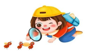 观察鱼作文400字最新8篇