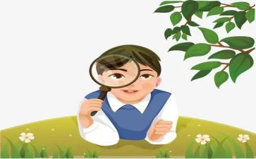 观察鱼作文400字优质6篇