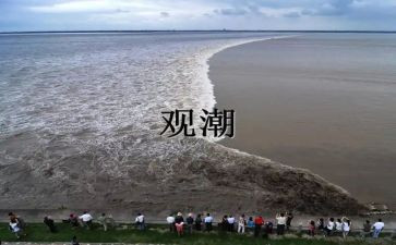观潮读后感300字作文模板5篇