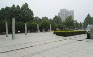 跳广场舞的心得体会6篇
